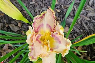 4836 Running Deer Dr, Eau Claire, WI 54703 - Photo 33