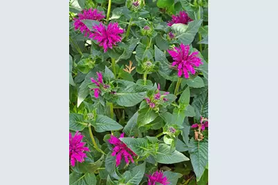 4836 Running Deer Drive, Eau Claire, WI 54703 - Photo 35