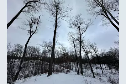 Tbd 10 Acres Antler Lake Drive, Milltown, WI 54858 - Photo 9