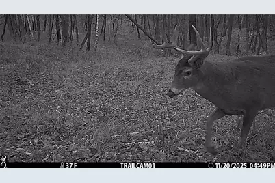 Tbd 10 Acres Antler Lake Drive, Milltown, WI 54858 - Photo 27