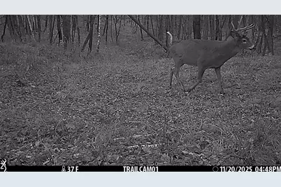 Tbd 10 Acres Antler Lake Drive, Milltown, WI 54858 - Photo 35