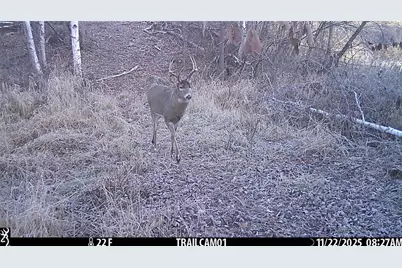 Tbd 10 Acres Antler Lake Drive, Milltown, WI 54858 - Photo 25