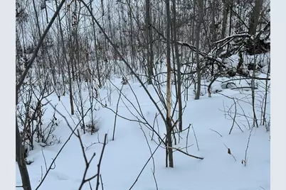 Tbd 10 Acres Antler Lake Drive, Milltown, WI 54858 - Photo 19