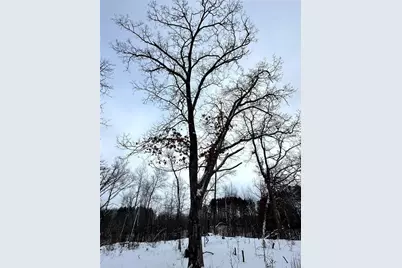 Tbd 10 Acres Antler Lake Drive, Milltown, WI 54858 - Photo 21