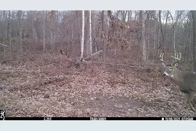 Tbd 10 Acres Antler Lake Drive, Milltown, WI 54858 - Photo 13