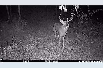 Tbd 10 Acres Antler Lake Drive, Milltown, WI 54858 - Photo 33