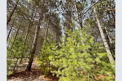 5 Acres 630th Street, Colfax, WI 54730 - Photo 9