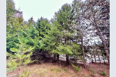 5 Acres 630th Street, Colfax, WI 54730 - Photo 15