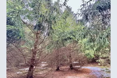 5 Acres 630th Street, Colfax, WI 54730 - Photo 11