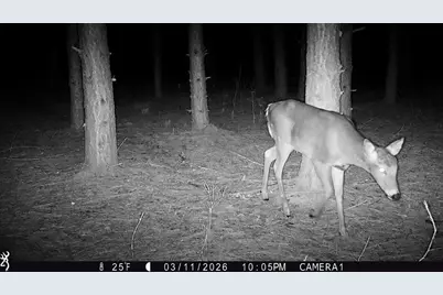 5 Acres 630th Street, Colfax, WI 54730 - Photo 25