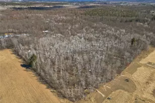 W 228 Peters Rd, Bass Lake, WI 54843 - Photo 41