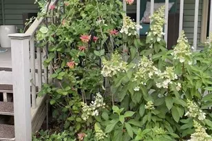 N12940 County Road T, Fairchild, WI 54741 - Photo 39