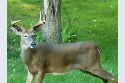 N12940 County Road T, Fairchild, WI 54741 - Photo 43