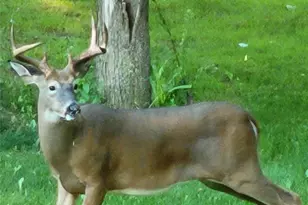 N12940 County Road T, Fairchild, WI 54741 - Photo 43