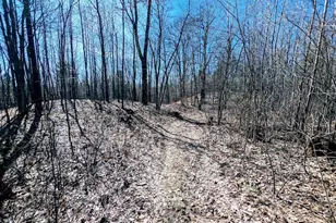 17341 Co Hwy M, New Auburn, WI 54757 - Photo 37