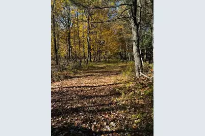 000 Granton Road, Neillsville, WI 54456 - Photo 11