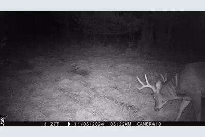 000 Granton Road, Neillsville, WI 54456 - Photo 23