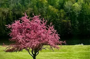 N5496 Co Hwy J, Ladysmith, WI 54848 - Photo 7