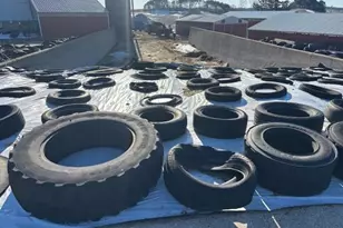 N41286 Halama Rd, Independence, WI 54747 - Photo 53