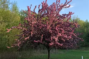 11537 118th Ave, Chippewa Falls, WI 54729 - Photo 57
