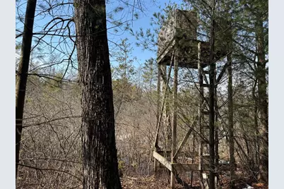 Ooo Lake Rd, Clintonville, WI 54929 - Photo 29