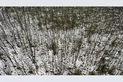 Ooo Lake Rd, Clintonville, WI 54929 - Photo 23