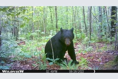 W2294 Highway 70, Spooner, WI 54801 - Photo 37