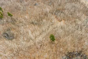 W2294 Hwy 70, Spooner, WI 54801 - Photo 19