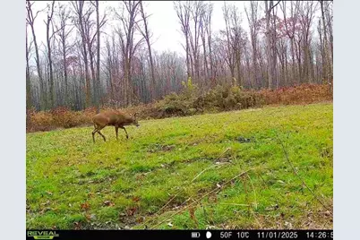 1563 Helena Drive, Holcombe, WI 54731 - Photo 17