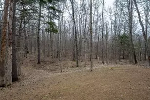 15594 W Deer Ln, Birchwood, WI 54817 - Photo 51