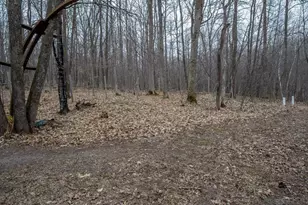 15594 W Deer Ln, Birchwood, WI 54817 - Photo 45