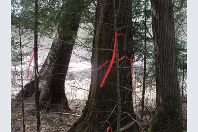 80580 Schwilk Road, Glidden, WI 54527 - Photo 37