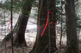 80580 Schwilk Rd, Glidden, WI 54527 - Photo 37