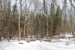 80580 Schwilk Rd, Glidden, WI 54527 - Photo 35