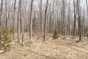 80580 Schwilk Rd, Glidden, WI 54527 - Photo 31