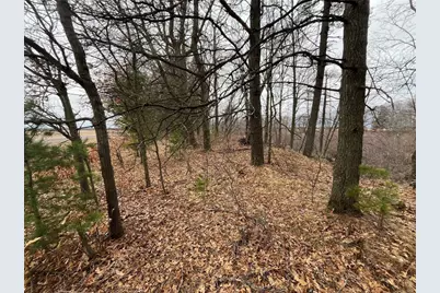 Tbd Ten Mile Drive, New Auburn, WI 54757 - Photo 1