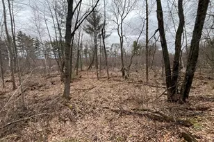 Tbd Ten Mile Dr, New Auburn, WI 54757 - Photo 17
