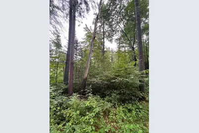 16876 Southview Trail, Stone Lake, WI 54876 - Photo 21