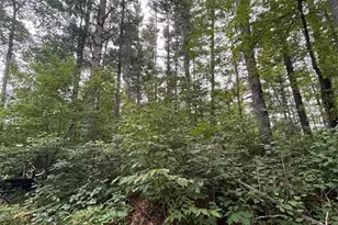 16876 Southview Trl, Stone Lake, WI 54876 - Photo 23