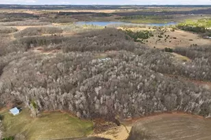 15595 170th St, Jim Falls, WI 54748 - Photo 39