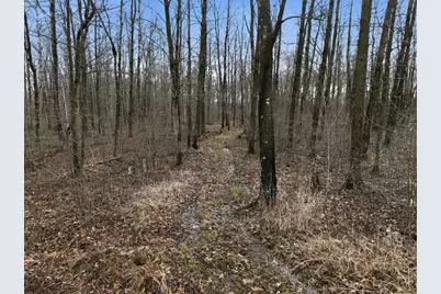 15595 170th Street, Jim Falls, WI 54748 - Photo 41