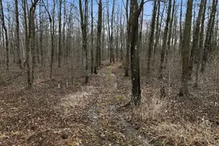 15595 170th St, Jim Falls, WI 54748 - Photo 41