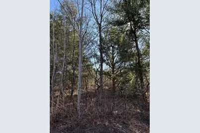 1.06 Acre On 297th Avenue, Holcombe, WI 54745 - Photo 9