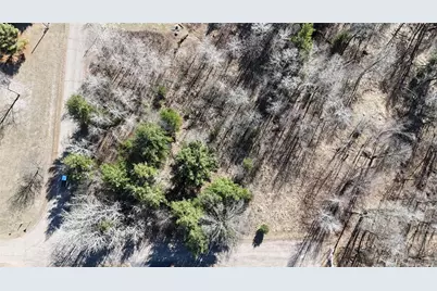 1.06 Acre On 297th Avenue, Holcombe, WI 54745 - Photo 13