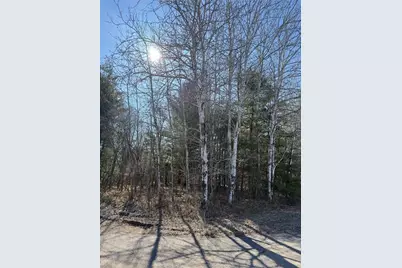 1.06 Acre On 297th Avenue, Holcombe, WI 54745 - Photo 1