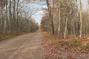 15846 W Pank Rd, Stone Lake, WI 54876 - Photo 21