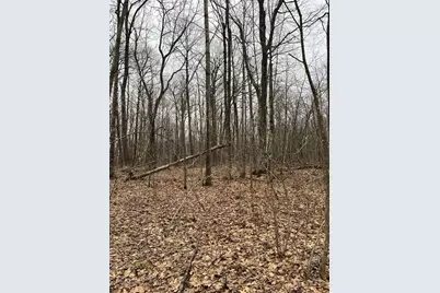 15846 W Pank Road, Stone Lake, WI 54876 - Photo 11