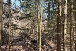 820 14th Ave, Almena, WI 54805 - Photo 47