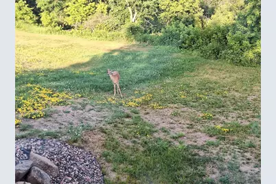 W15995 Random Ridge Road, Weyerhaeuser, WI 54895 - Photo 13