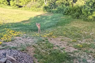 W15995 Random Rdg Rd, Weyerhaeuser, WI 54895 - Photo 13